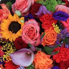 Photo de Abélia Fleuriste