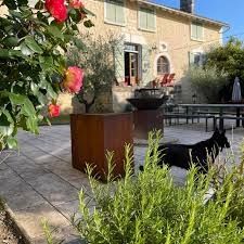 Photo de Les Deux Abbesses en Vert