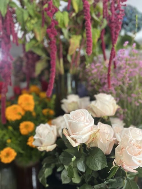 Photo de ALICE WONDERFUL FLOWERS