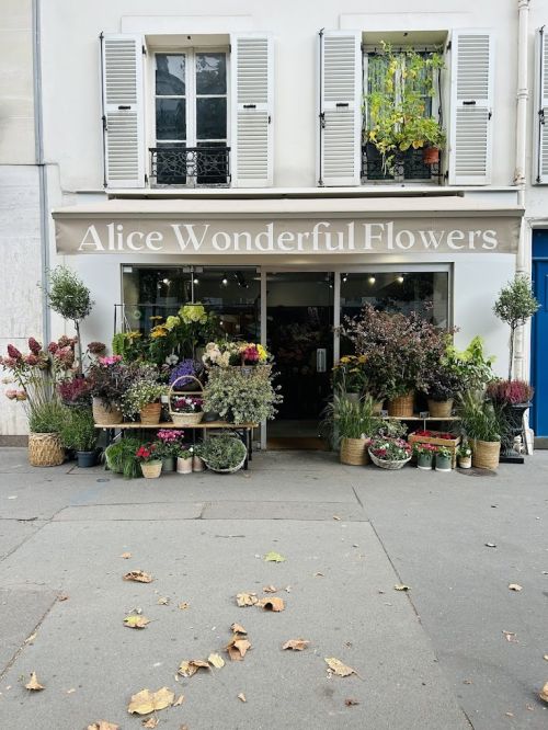 Photo de ALICE WONDERFUL FLOWERS