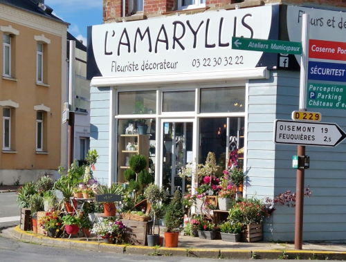 Photo de L'Amaryllis