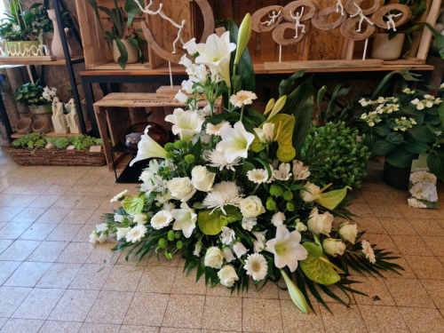 Photo de L'Amaryllis