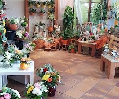 Photo de Fleurs Anastasia