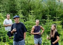 Photo de Domaine des Anges