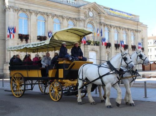 Photo de Les attelages de Sacy