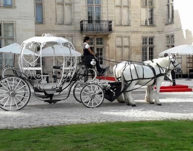 Photo de Les attelages de Sacy