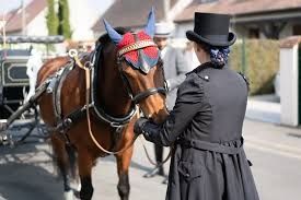 Photo de Attelage de la Gazelle