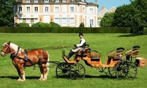 Photo de Attelage de la Gazelle