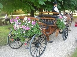 Photo de Attelage de la Gazelle