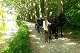 Photo de Attelages Eric de Mailly