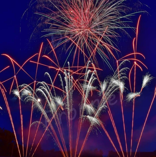 Photo de Aulnes Artifice