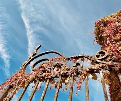 Photo de Château de la Bertaudière