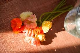 Photo de Borgona