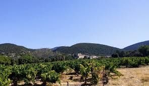 Photo de Domaine de La Bouvaude
