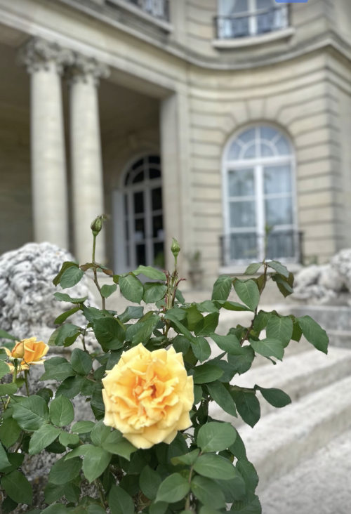 Photo de Château Du Prieuré d'Evecquemont