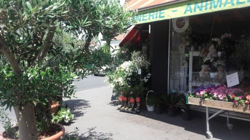 Photo de L'atelier d'Isa