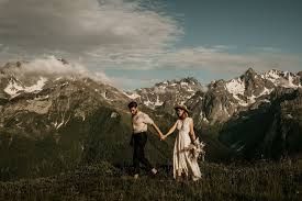 Photo de Budgie Bandits