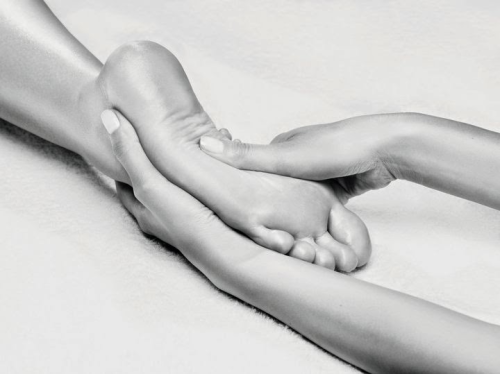 Photo de Carole Institut 