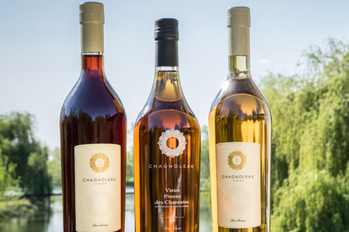 Photo de Vignoble Chagnoleau