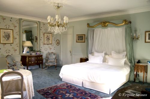 Photo de Château d'Apigné 