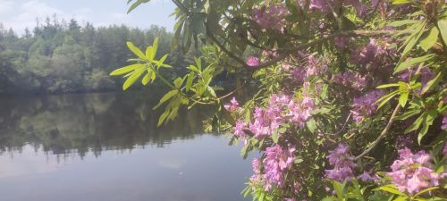 Photo de Château de Launay Guen