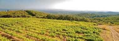 Photo de Domaine Clavel