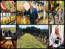 Photo de La Cave des Climats