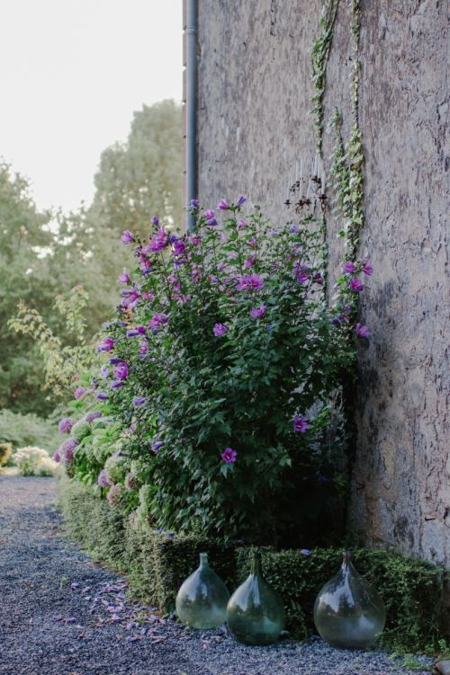 Photo de Chateau d'Estrac