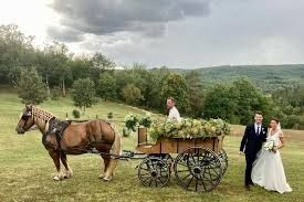 Photo de L'échappée pastorale