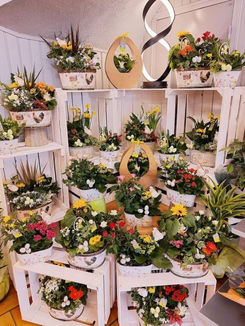 Photo de Au Jardin d'Eden