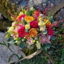 Photo de Héllébore