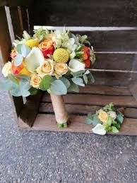 Photo de Héllébore