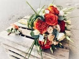 Photo de Héllébore