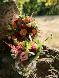 Photo de Héllébore