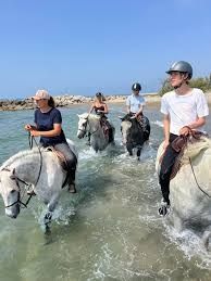 Photo de Les Calèches D'Elodie
