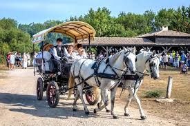 Photo de Les Calèches D'Elodie