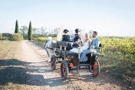 Photo de Les Calèches D'Elodie