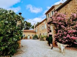 Photo de Château Saint-Estève