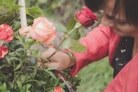 Photo de Les Fleurs d' Eventis