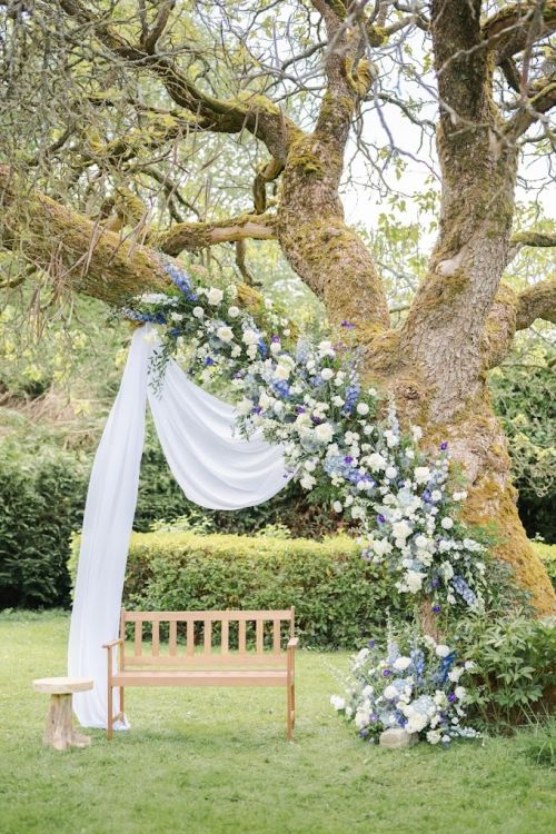 Photo de De Fleurs en Couleurs