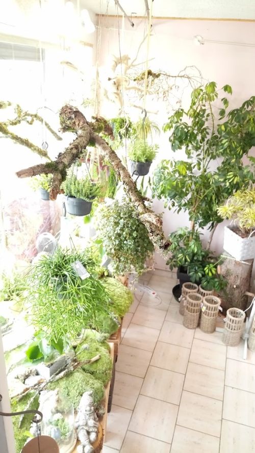 Photo de Au Jardin Fleuri