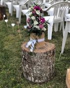 Photo de Florabsys Sarl