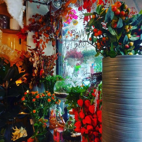 Photo de Flower impact