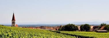Photo de Domaine Marcel Freyburger