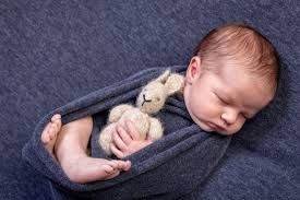 Photo de Graines de Vies