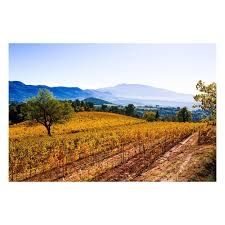 Photo de Domaine Jaume