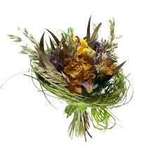 Photo de Laurence Lacombe