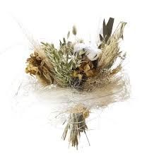 Photo de Laurence Lacombe