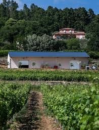 Photo de Domaine du père Léon