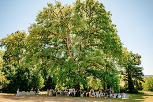Photo de Château de La Rose - Pour un 